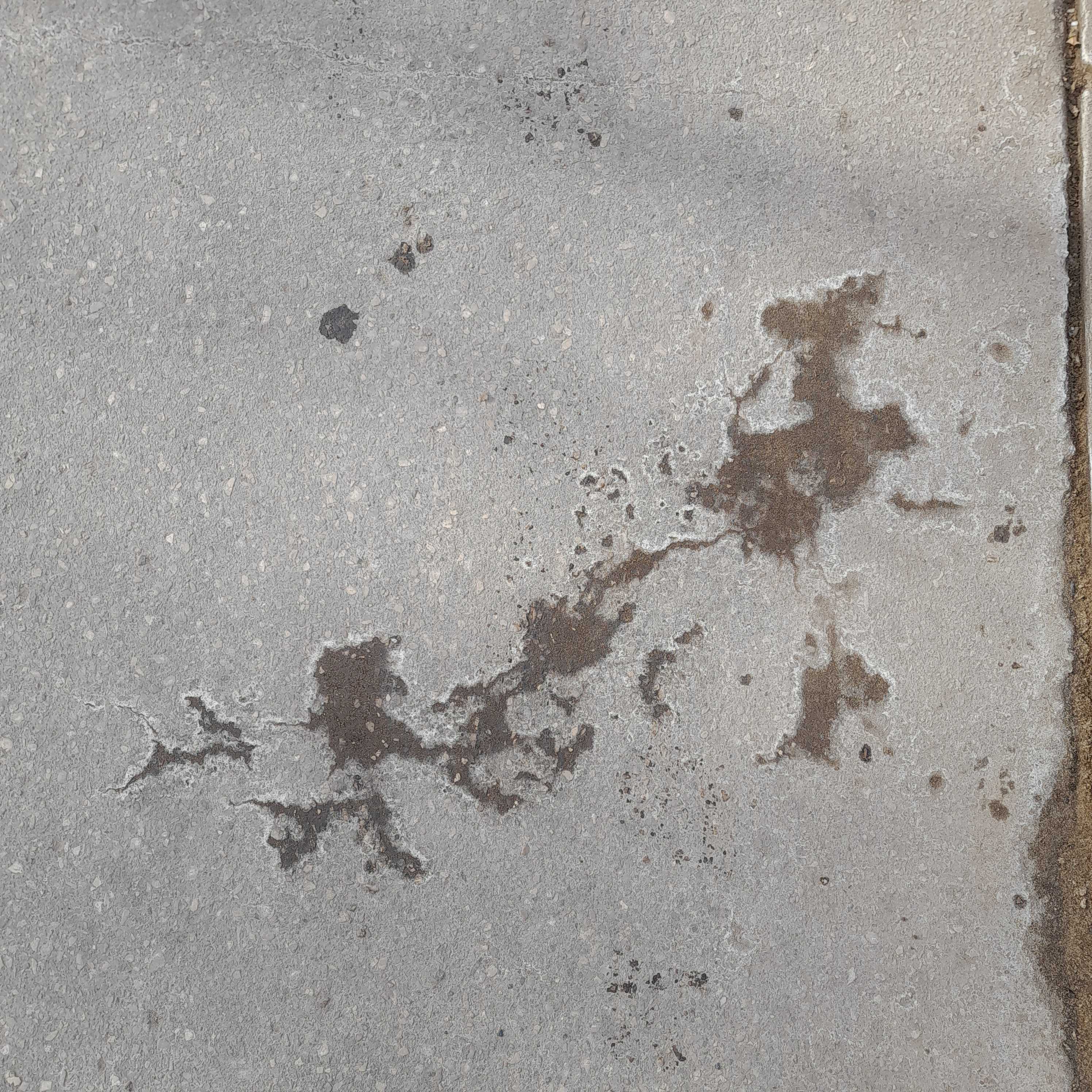 splashes of life